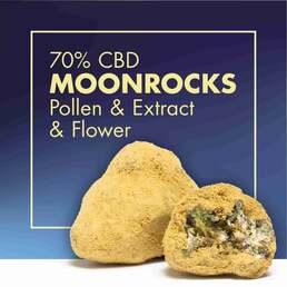 MoonRocks 70% CBD - Cannactiva - WeWeed