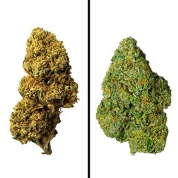 6g de Flor Dúo de Genéticas - 1g de La Cordobesa Raspberry Indoor + 5g La Cordobesa Atleta - ProfesorCBD - WeWeed