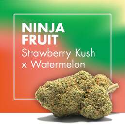 Flores CBD NINJA FRUIT (Strawberry Kush x Watermelon) - Cannactiva - WeWeed
