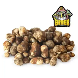 Trufas Mágicas Mexicana 15g - Iguana Smoke CBD - WeWeed