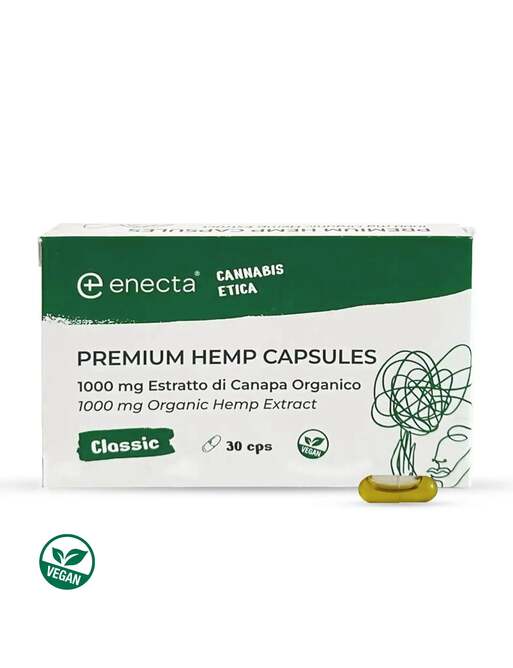 Premium Hemp Extract CBD Capsules - Enecta - WeWeed