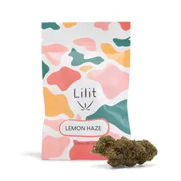 Lemon Haze Indoor - Lilit - WeWeed