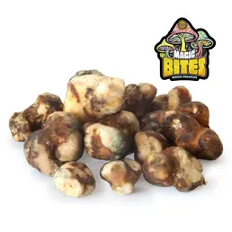 Trufas Mágicas Atlantis 15g - Iguana Smoke CBD - WeWeed