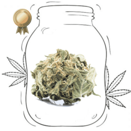 Apple Punch - Sweed - WeWeed