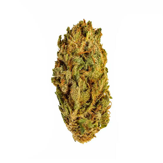 Cogollos Pequeños de Flor Aromática de CBD al - La Cordobesa Critical Berry - ProfesorCBD - WeWeed