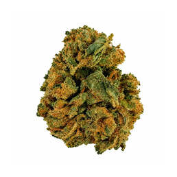 Cogollos Pequeños de Flor Aromática al 10,84% de CBD - La Cordobesa Green Crack Amnesia - ProfesorCBD - WeWeed