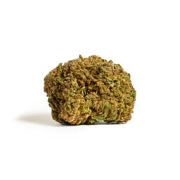 Pine skunk Iberohemp CBD (10g-500g) - IberoHemp - WeWeed