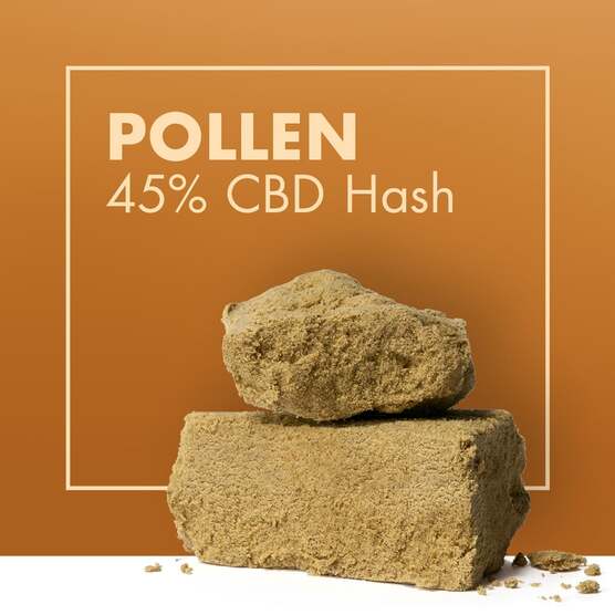 Polen Dry Sift 45% CBD - Cannactiva - WeWeed