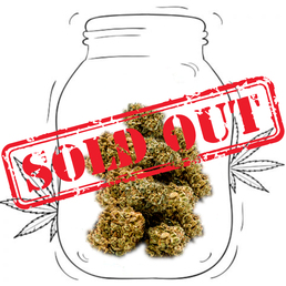 Purple Punch - Sweed - WeWeed