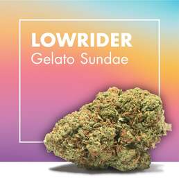 Flores CBD LOWRIDER (Gelato Sundae) - Cannactiva - WeWeed