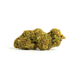 Gelato CBD de IberoHemp (10g-500g) - IberoHemp - WeWeed