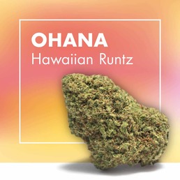 Flores CBD OHANA (Hawaiian Runtz) - Cannactiva - WeWeed