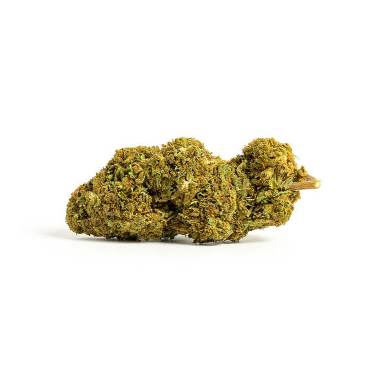 Gelato CBD de IberoHemp (10g-500g) - IberoHemp - WeWeed