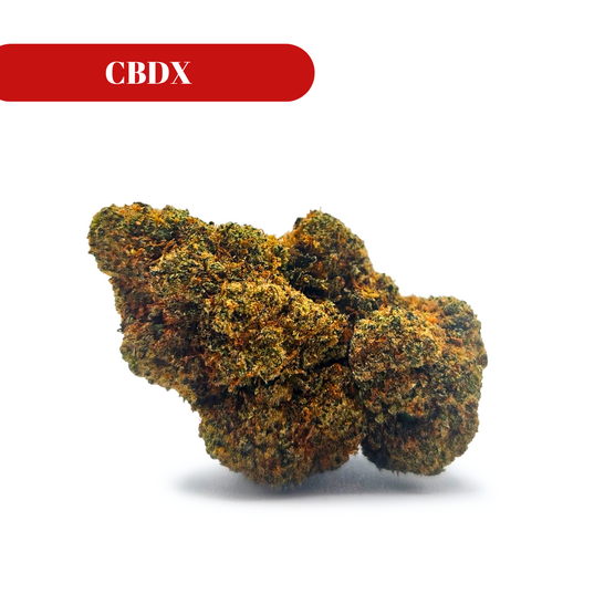 Amnesia Dream CBDX - La Catalana CBD - WeWeed